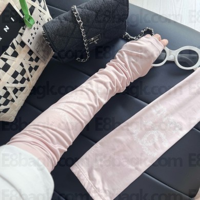 Chanel Ice silk sleeves 061612 2025