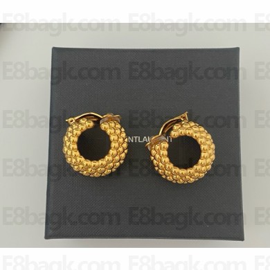 Saint Laurent earring 061804 2025