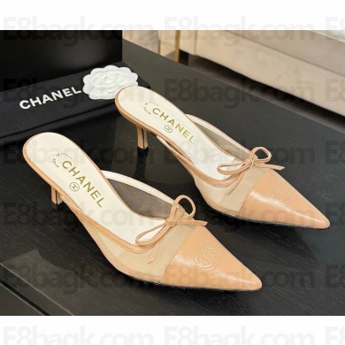 Chanel Mules mesh & lambskin Pointed with bow beige 2025  