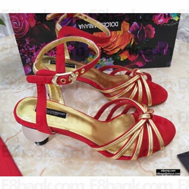 Dolce & Gabbana Spherical Acrylic Heel 6.5cm Suede Sandals Red 2021