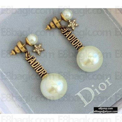 Dior Earrings 13 2021