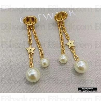 Dior Earrings 07 2021