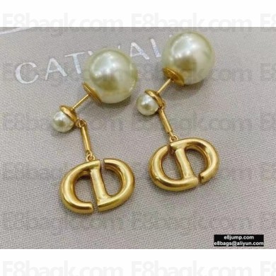 Dior Earrings 06 2021