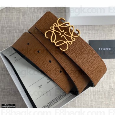 Loewe Width 4cm Belt L13