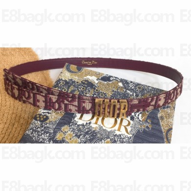 Dior Width 2cm Belt D73