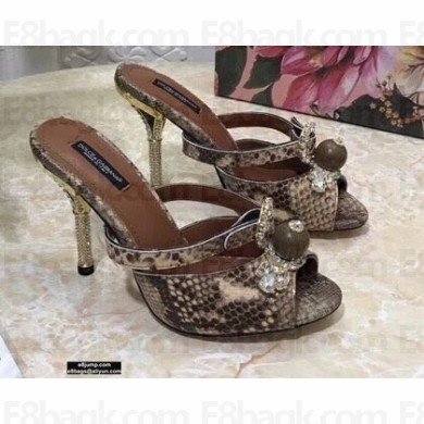 Dolce & Gabbana Crystal Heel 10.5cm Python Mules Camel 2021