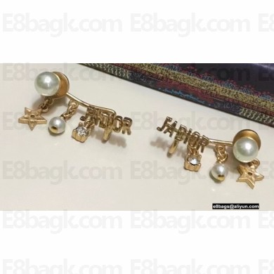Dior Earrings 45 2021