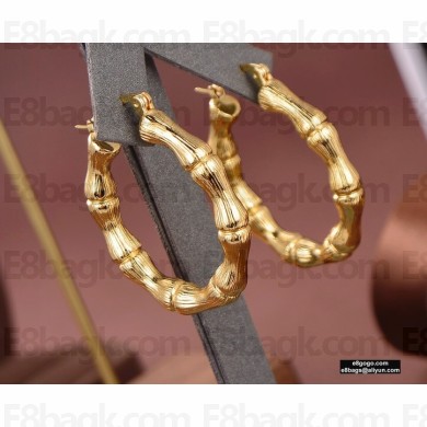 Celine Earrings C128