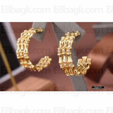 Celine Earrings C106