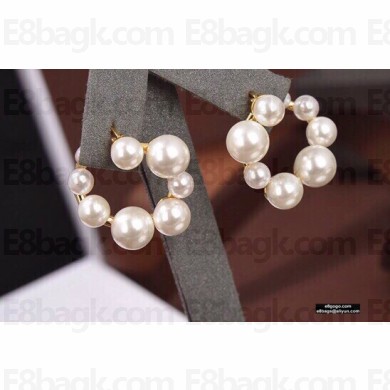 Celine Earrings C102