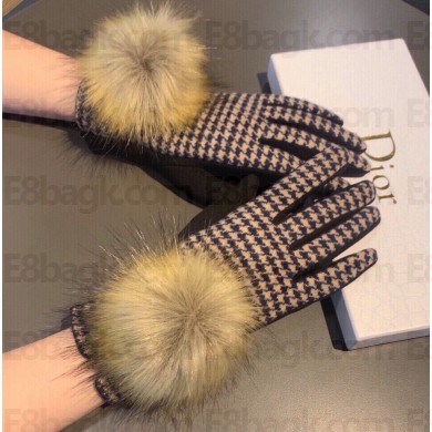 Dior Gloves D02 2022