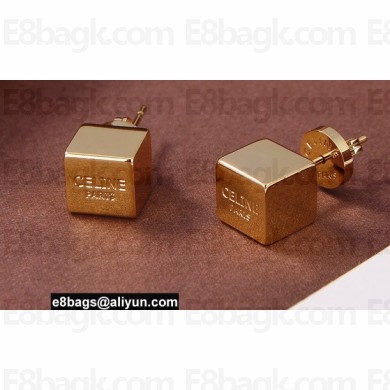 Celine Earrings 18 2022