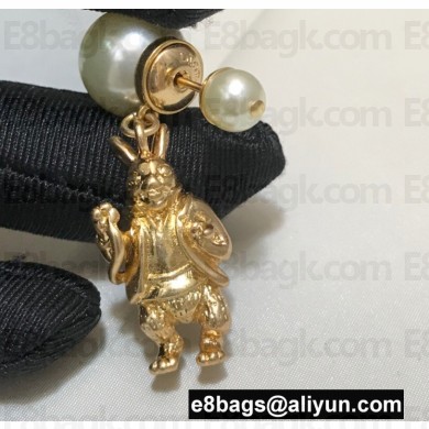 Dior Earrings 13 2022