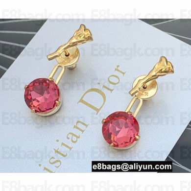 Dior Earrings 16 2022