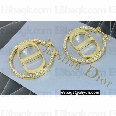 Dior Earrings 03 2022