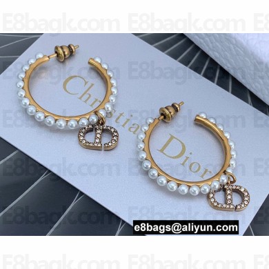 Dior Earrings 29 2022