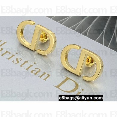 Dior Earrings 08 2022