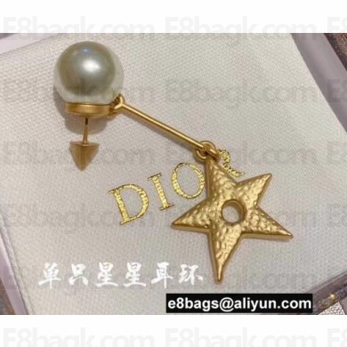 Dior Earrings 34 2022