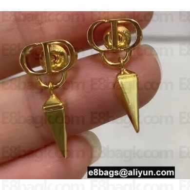 Dior Earrings 35 2022