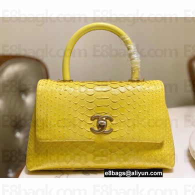 Chanel Python Coco Handle Small Flap Bag with Top Handle 17