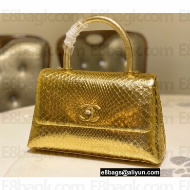 Chanel Python Coco Handle Small Flap Bag with Top Handle 18