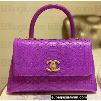 Chanel Python Coco Handle Small Flap Bag with Top Handle 20
