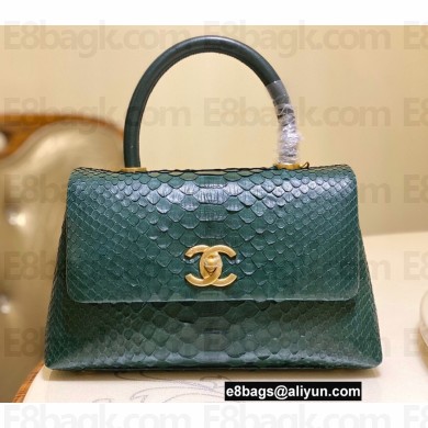 Chanel Python Coco Handle Small Flap Bag with Top Handle 21