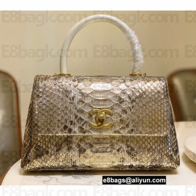 Chanel Python Coco Handle Small Flap Bag with Top Handle 24