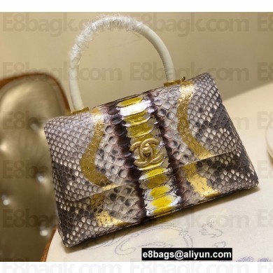 Chanel Python Coco Handle Small Flap Bag with Top Handle 25