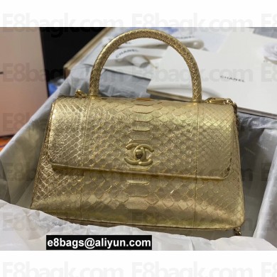Chanel Python Coco Handle Medium Flap Bag with Top Handle 09