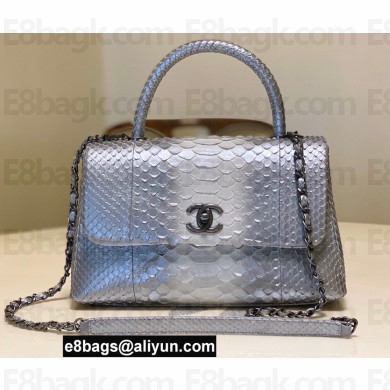Chanel Python Coco Handle Medium Flap Bag with Top Handle 14