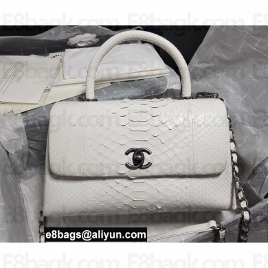 Chanel Python Coco Handle Medium Flap Bag with Top Handle 15