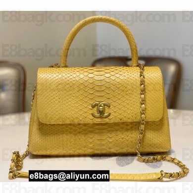 Chanel Python Coco Handle Medium Flap Bag with Top Handle 16