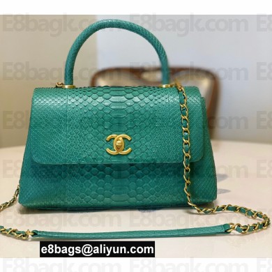 Chanel Python Coco Handle Medium Flap Bag with Top Handle 17