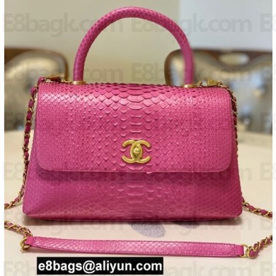 Chanel Python Coco Handle Medium Flap Bag with Top Handle 18