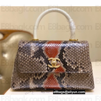 Chanel Python Coco Handle Small Flap Bag with Top Handle 01