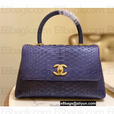 Chanel Python Coco Handle Small Flap Bag with Top Handle 10