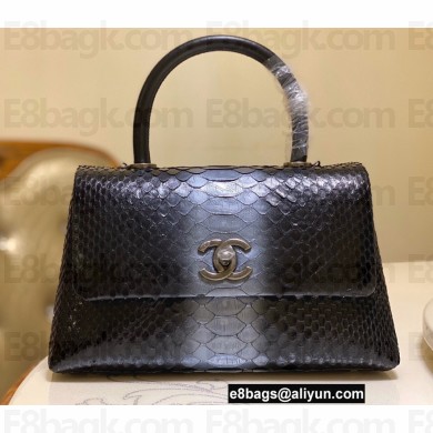 Chanel Python Coco Handle Small Flap Bag with Top Handle 05