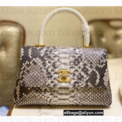 Chanel Python Coco Handle Small Flap Bag with Top Handle 13