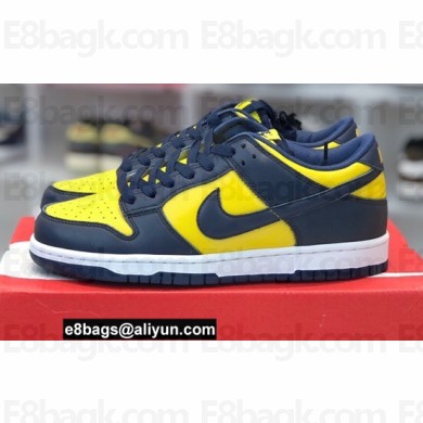 Nike Dunk Low Sneakers 45