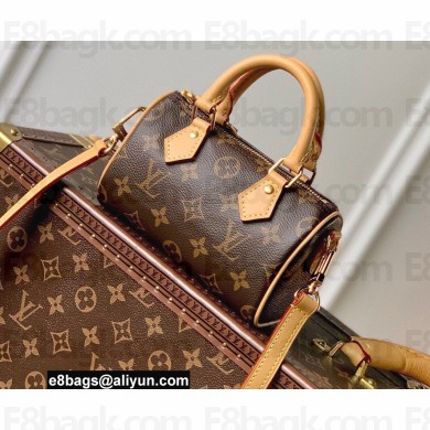 Louis Vuitton Monogram canvas Nano Speedy Bag M81085