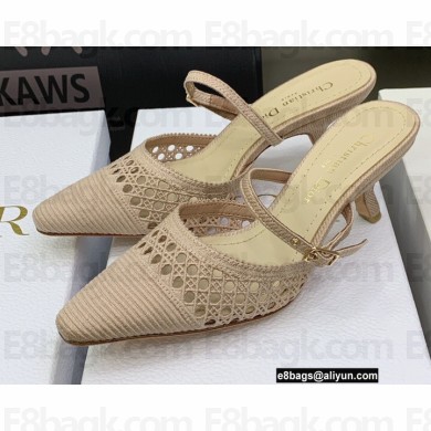 Dior Heel 6.5cm Mesh Cannage Embroidery Capture Mules Nude 2022
