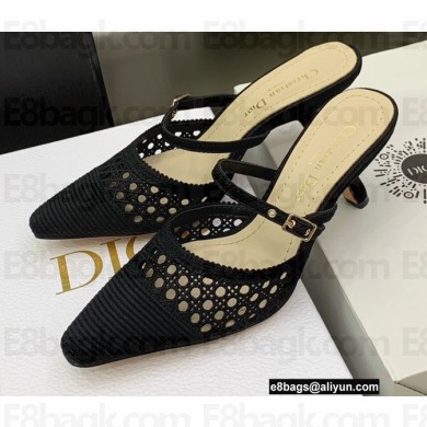 Dior Heel 6.5cm Mesh Cannage Embroidery Capture Mules Black 2022