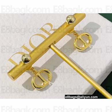 Dior Earrings 56 2022