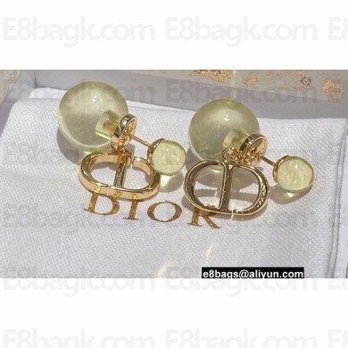 Dior Earrings 70 2022