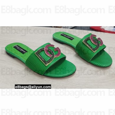 Dolce & Gabbana Iguana-print calfskin Slides with DG Logo Green 2022
