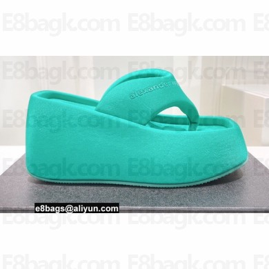 Alexander Wang Heel 10 Platform 6cm Taji FLIP FLOP Sandals In Lycra Turquoise Green 2022