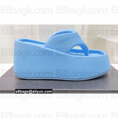 Alexander Wang Heel 10 Platform 6cm Taji FLIP FLOP Sandals In Lycra Blue 2022
