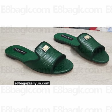 Dolce & Gabbana Iguana-print calfskin Slides Dark Green 2022