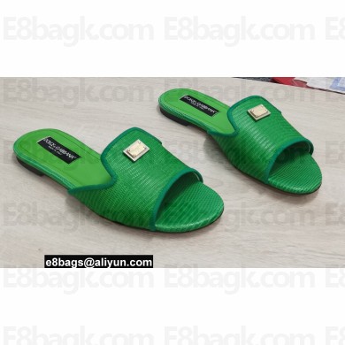 Dolce & Gabbana Iguana-print calfskin Slides Green 2022